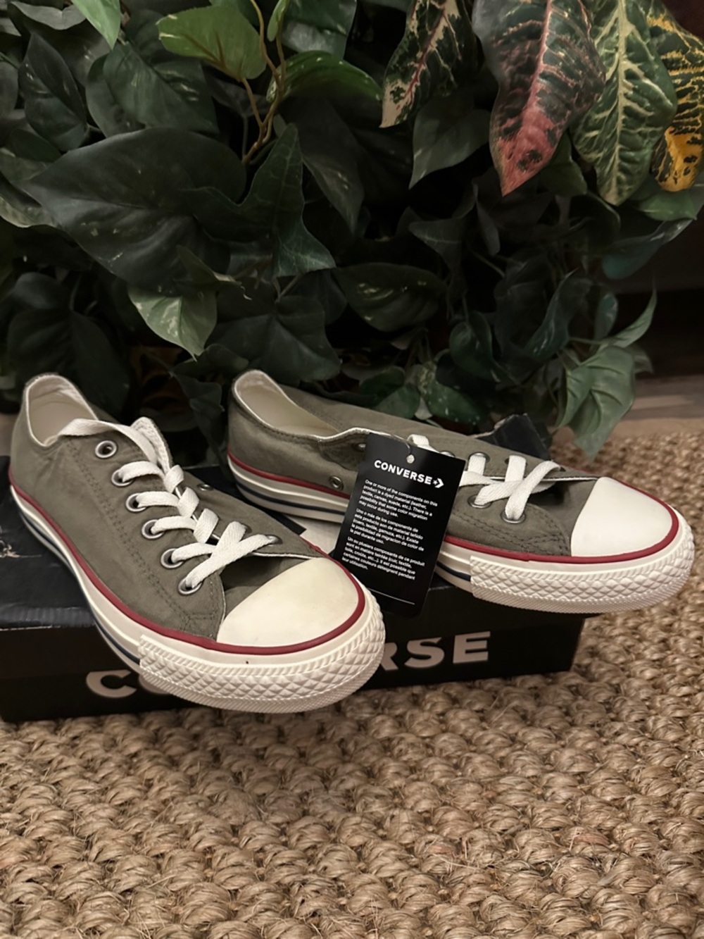 Converse Low Top Sneakers in Olive and White with Red Accent